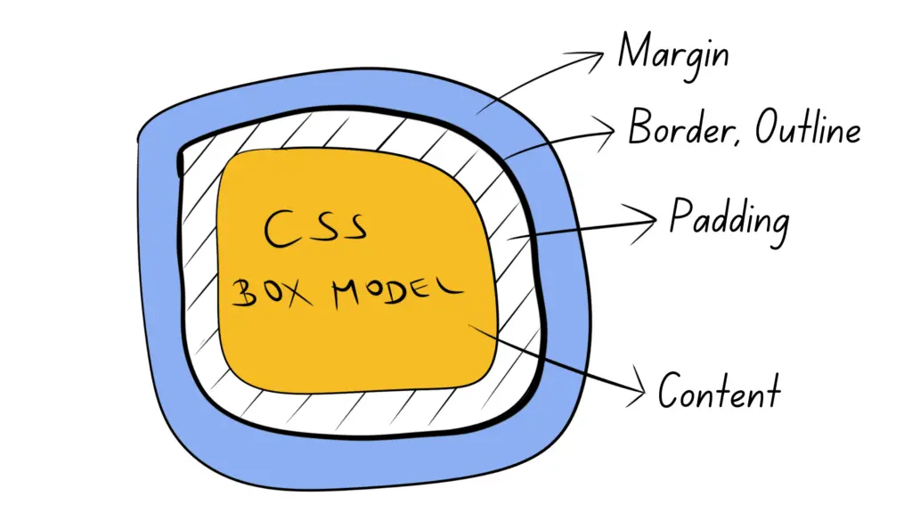 The CSS box model
