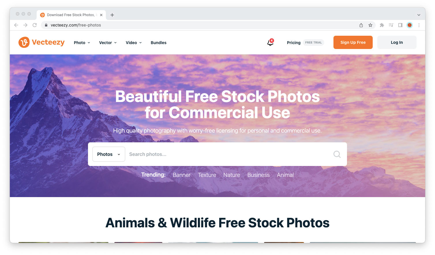 The 19 Best Stock Photo Websites (Free & Premium) - Maker's Aid