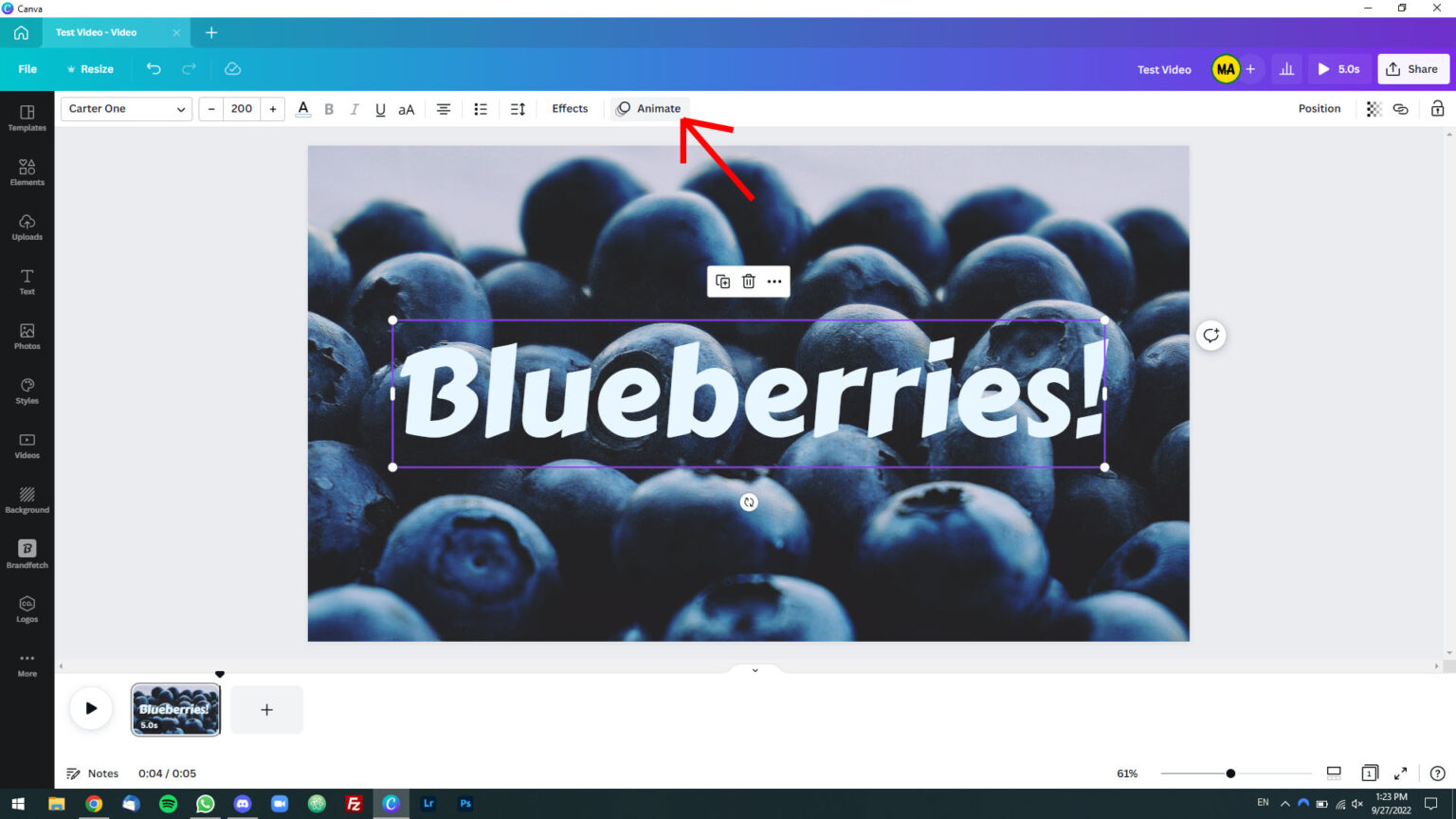 make-text-appear-and-disappear-in-canva-video-maker-s-aid