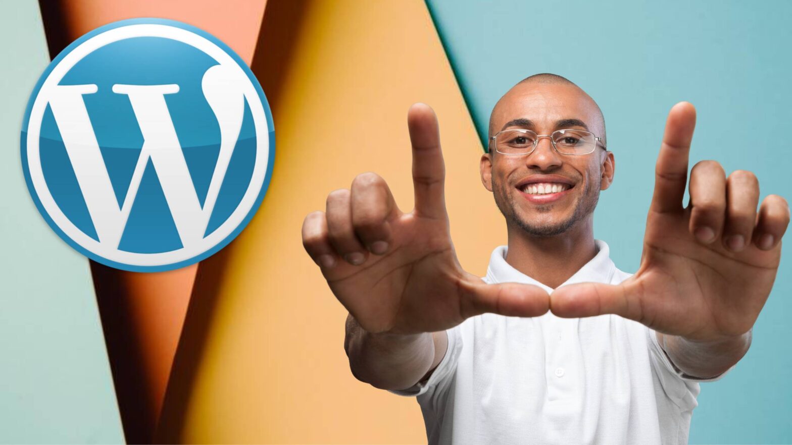 Customizable WordPress themes.